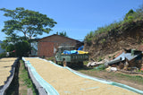 86+ Find: Celso Mayta (Bolivia) Microlot Roast. NEW ARRIVAL!