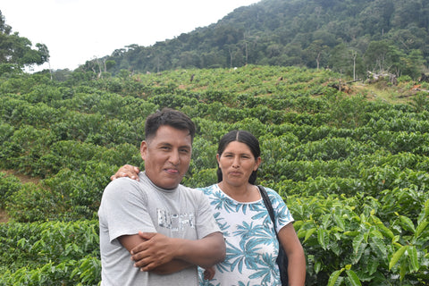 86+ Find: Humberto Mamani (Bolivia) Microlot. NEW FARMER!