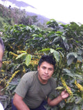 86+ Find: Ruben Caceres -San Ignacio (Bolivia) Microlot. NEW FARMER!